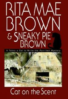 Cat on the Scent Cat on the Scent