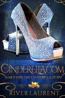 Cinderella.Com: A Modern Day Cinderella Story