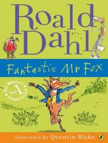 Fantastic Mr Fox Fantastic Mr Fox