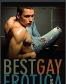 Best Gay Erotica 2015 Best Gay Erotica 2015