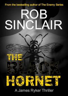 The Black Hornet: James Ryker Book 2