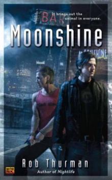 Moonshine can-2