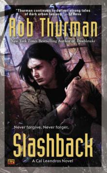 Slashback can-8 Slashback can-8
