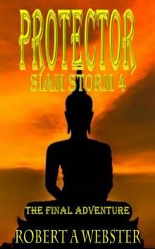 Protector--The Final Adventure
