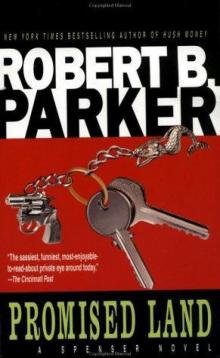 Promised Land s-4 Promised Land s-4