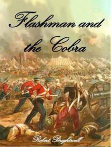 Flashman and the Cobra