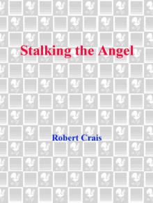 Stalking the Angel