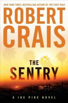 The Sentry_Joe Pike
