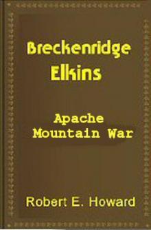 The Apache Mountain War