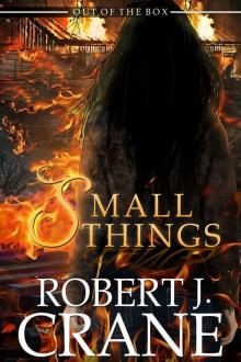 Small Things (Out of the Box Book 14) Small Things (Out of the Box Book 14)