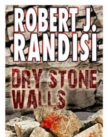 Dry Stone Walls Dry Stone Walls
