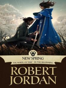 New Spring: The Novel New Spring: The Novel