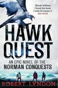 Hawk Quest Hawk Quest
