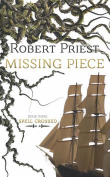 Missing Piece Missing Piece