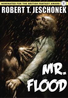 Mr. Flood