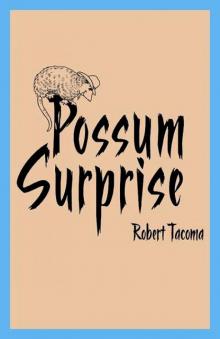 Possum Surprise Possum Surprise