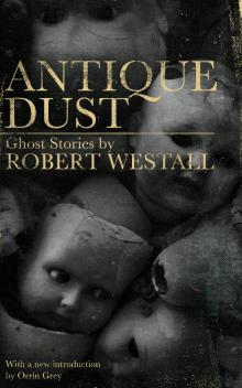 Antique Dust Antique Dust