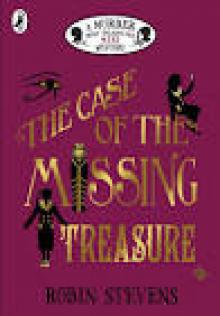 The Case of the Missing Treasure