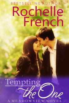 Tempting the One (Meadowview Heat 4; The Meadowview 4)