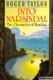 Into Narsindal Into Narsindal