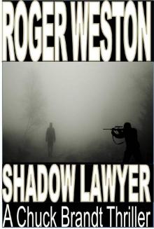The Shadow Lawyer