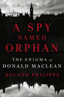 A Spy Named Orphan