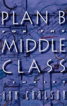Plan B for the Middle Class: Stories Plan B for the Middle Class: Stories