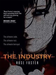 The Industry