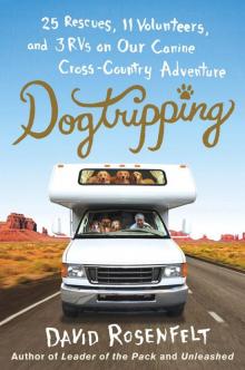 Dogtripping: 25 Rescues, 11 Volunteers, and 3 RVs on Our Canine Cross-Country Adventure Dogtripping: 25 Rescues, 11 Volunteers, and 3 RVs on Our Canine Cross-Country Adventure