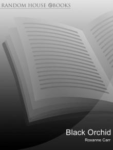 Black Orchid Black Orchid