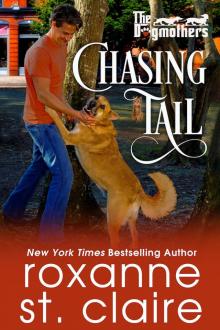 Chasing Tail Chasing Tail