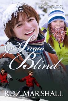 Snow Blind: Secrets in the Snow, # 5