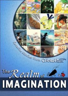 The Realm of Imagination The Realm of Imagination