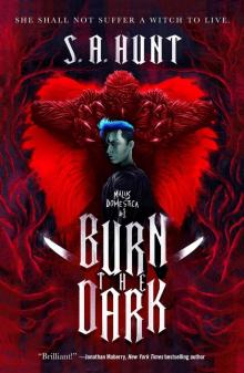 Burn the Dark Burn the Dark