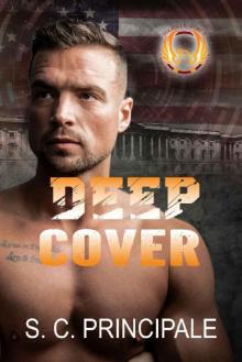 Deep Cover: Book 13: The Phoenix Force Series