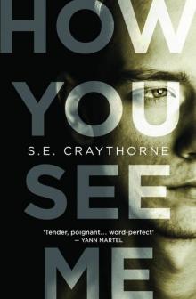 How You See Me How You See Me