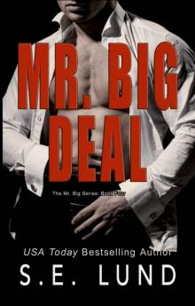 Mr. Big Deal (The Mr. Big Series Book 4)