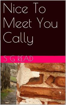 Nice To Meet You Cally (Calliaster Doyle Book 2)