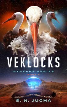 Veklocks Veklocks