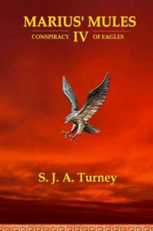 4.Conspiracy of Eagles