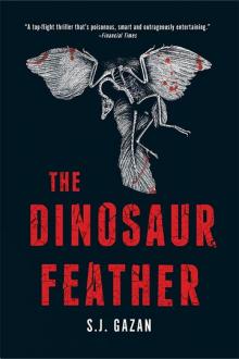 The Dinosaur Feather