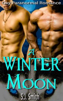 A Winter Moon A Winter Moon