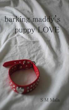 Barking Maddy's Puppy Love Barking Maddy's Puppy Love