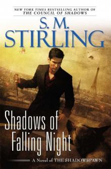 Shadows of Falling Night: A Novel of the Shadowspawn