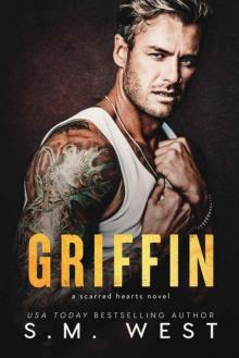 Griffin: strangers to lovers romance