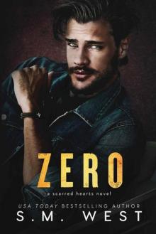 Zero: A protective hero romantic suspense