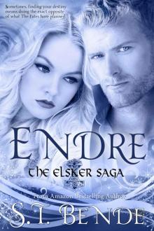 Endre (Elsker Saga Book 2) Endre (Elsker Saga Book 2)