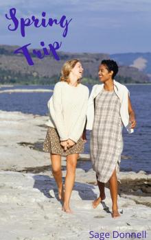 Spring Trip: A Holiday Romance Novella (Holiday Romances Book 4) Spring Trip: A Holiday Romance Novella (Holiday Romances Book 4)