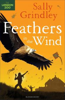 Feathers in the Wind Feathers in the Wind