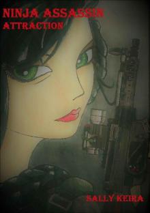 Ninja Assassin: Attraction Ninja Assassin: Attraction